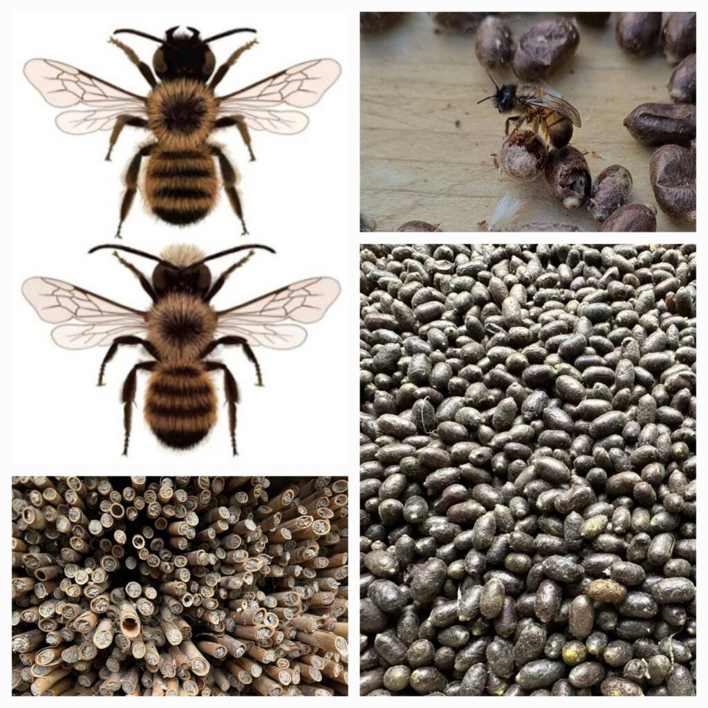 bbf1f832-05bb-47a2-91ed-54f42f1e2d21