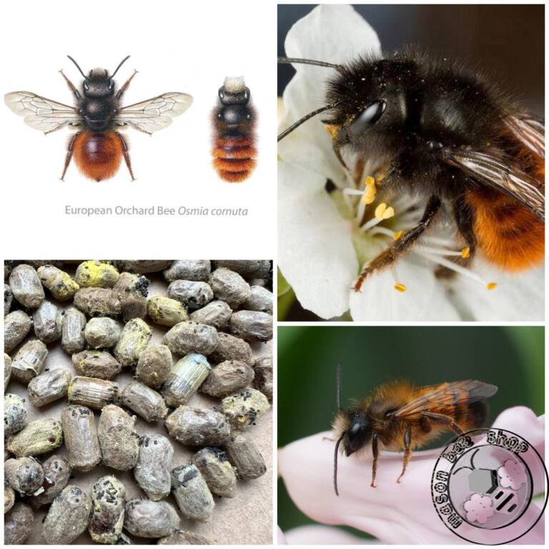 f4232edc-c434-41e0-8a89-5963d0f3d1b2